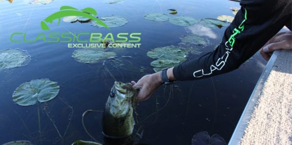 3 Rigs All Bass Anglers Should Know- Classic Bass